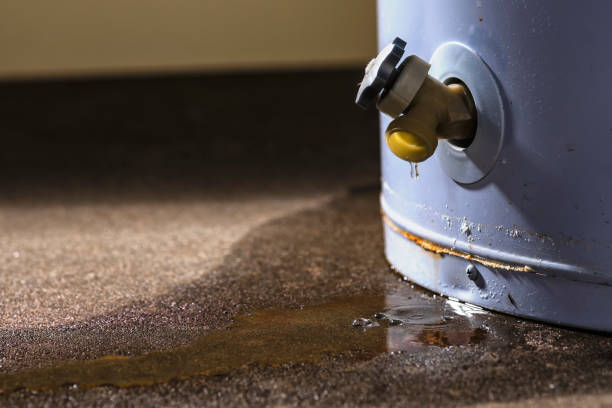 Best Emergency water damage restoration  in Hawthorn Woods, IL