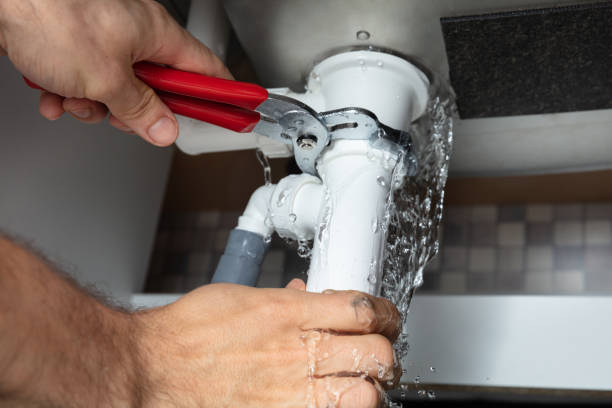 Best Flooded house restoration  in Hawthorn Woods, IL