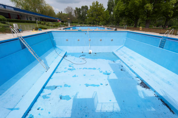 Best Flood restoration services  in Hawthorn Woods, IL