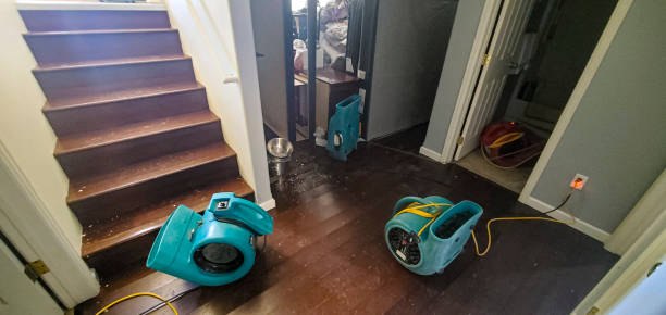 Best Commercial water damage restoration  in Hawthorn Woods, IL
