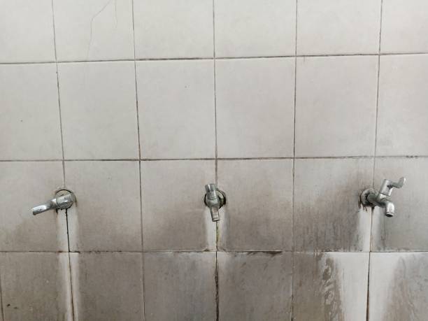 Best Water damage restoration near me  in Hawthorn Woods, IL