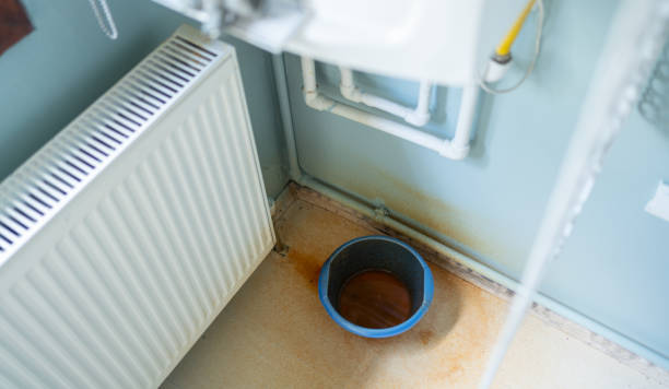 Best Water damage restoration near me  in Hawthorn Woods, IL