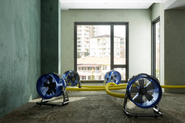 Best Flood restoration services  in Hawthorn Woods, IL